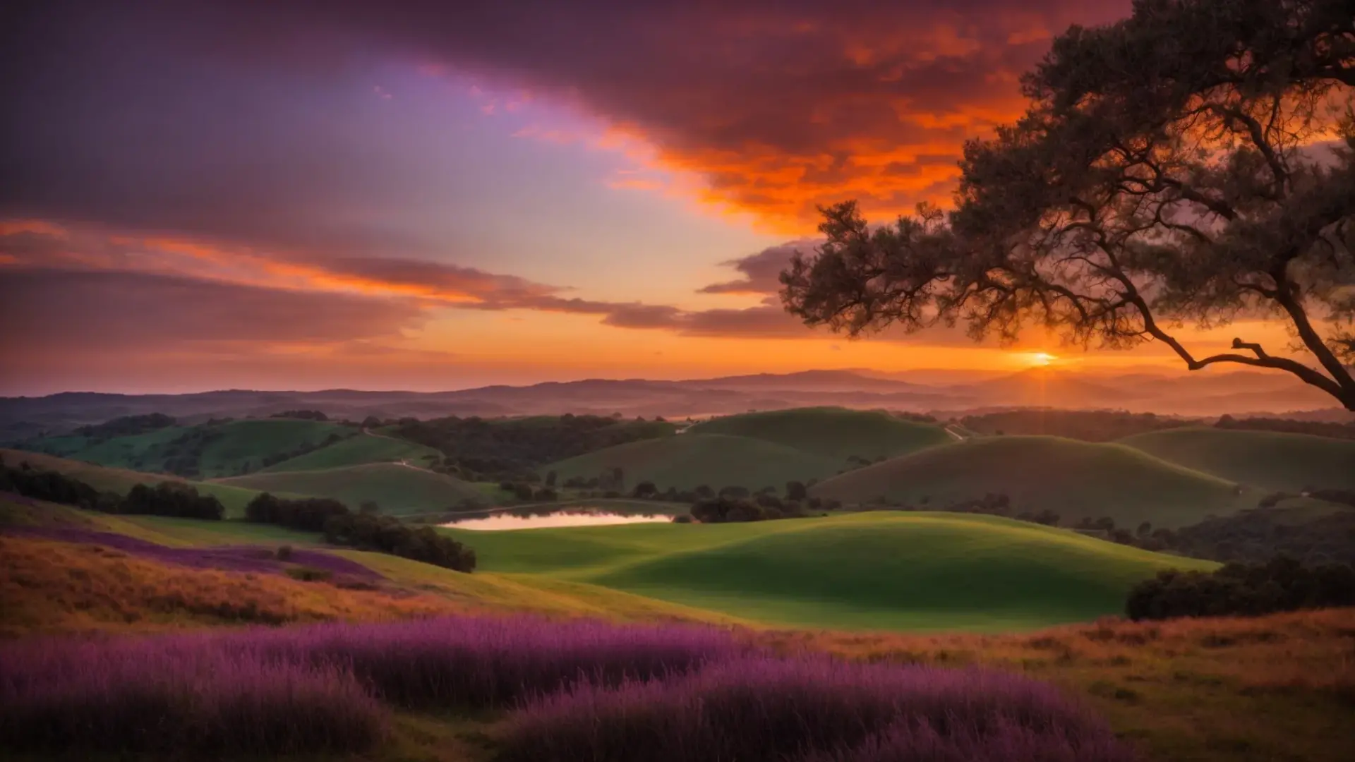 Breathtaking sunset over rolling hills with vibrant purple wildflowers, reflecting Arizona's natural beauty and climate.